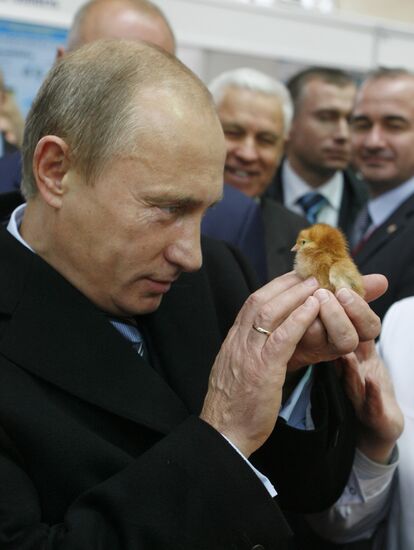 Putin visits agricultural exhibition Golden Fall