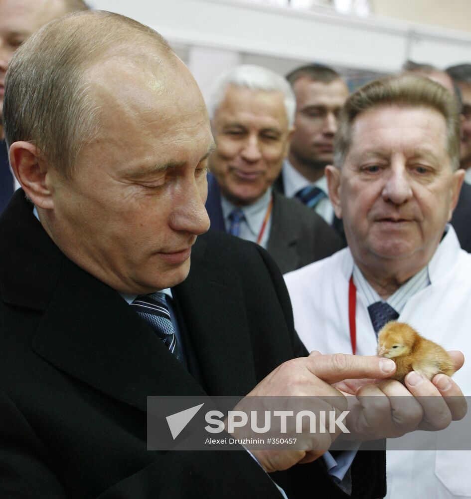 Putin visits agricultural exhibition Golden Fall