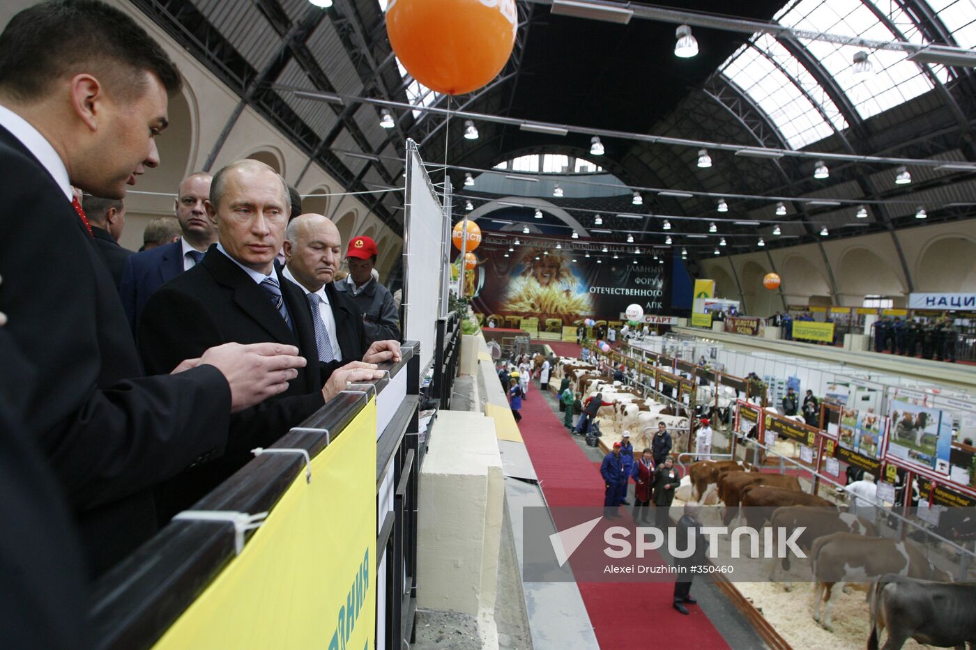 Putin visits agricultural exhibition Golden Fall