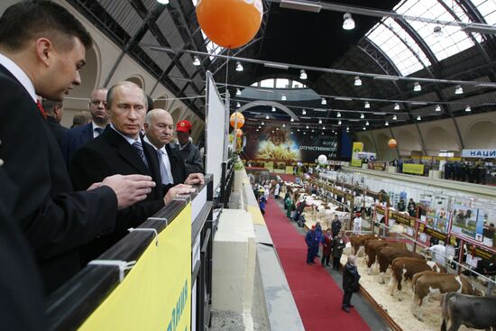 Putin visits agricultural exhibition Golden Fall