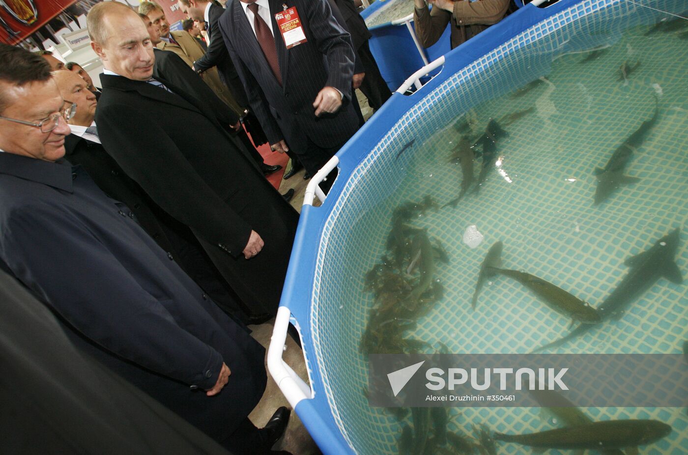 Putin visits agricultural exhibition Golden Fall