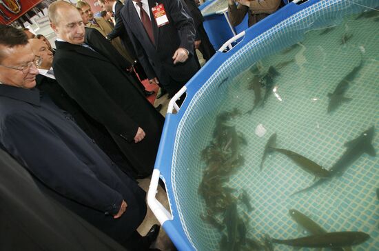 Putin visits agricultural exhibition Golden Fall