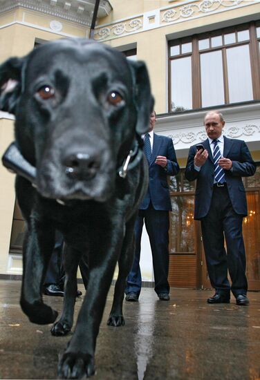 Vladimir Putin put GLONASS collar on his dog