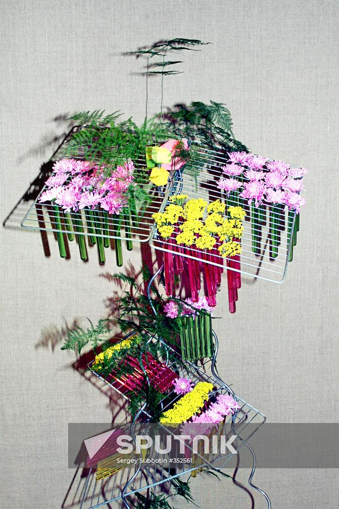Ikebana