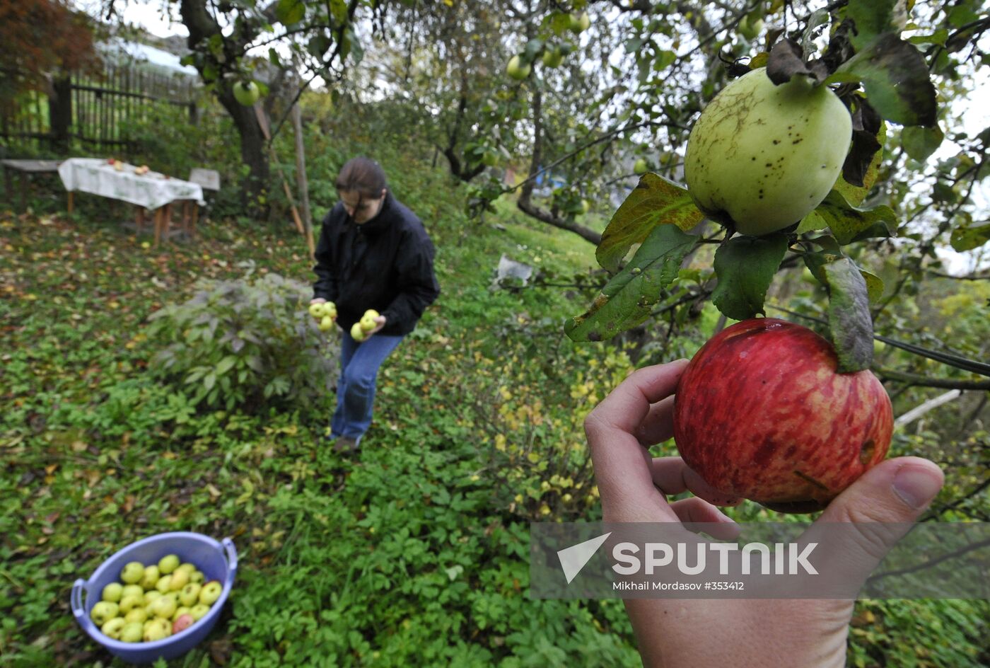 Countryhouse owners: gardening season over
