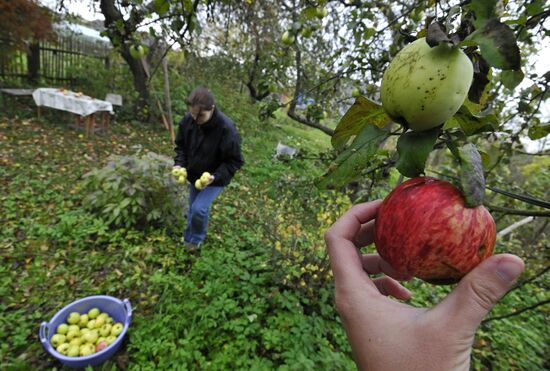 Countryhouse owners: gardening season over