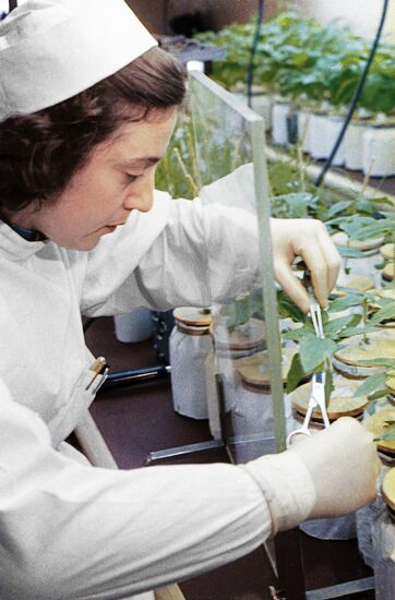 Soviet Agricultural Sciences Academy associate at work