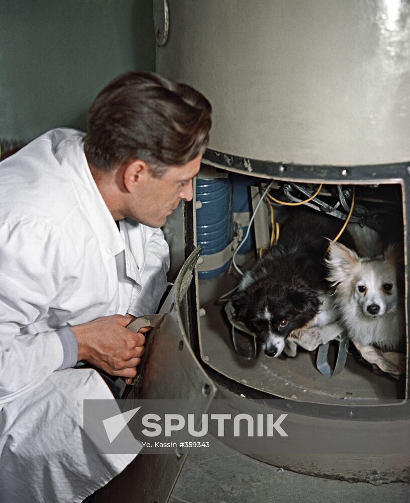 Dogs named Damka and Kozyavka before being launched into space