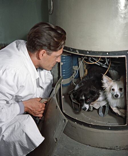 Dogs named Damka and Kozyavka before being launched into space