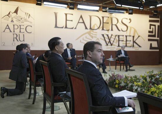 16th Asia-Pacific Economic Cooperation summit. Day Two.