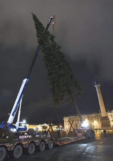 Christmas Tree in St. Petersburg
