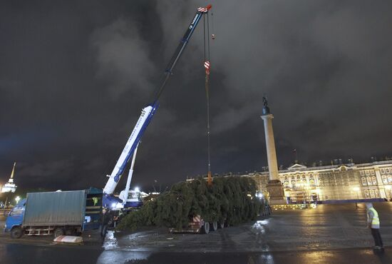 Christmas Tree in St. Petersburg
