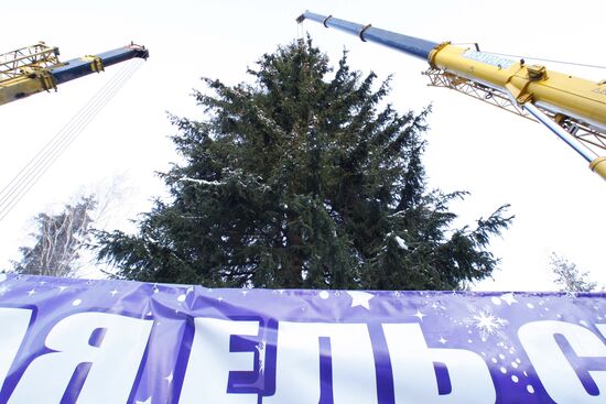 Russia's main New Year fir-tree