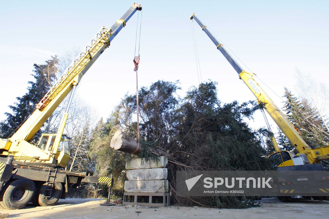 Russia's main New Year fir-tree