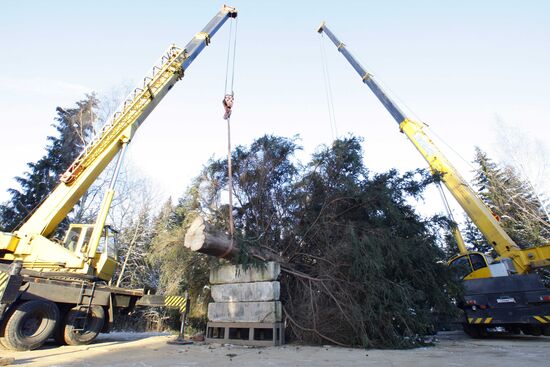 Russia's main New Year fir-tree