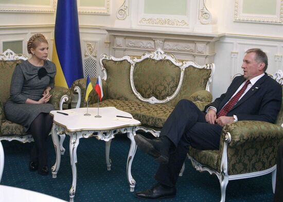 Mirek Topolánek and Yulia Tymoshenko hold talks