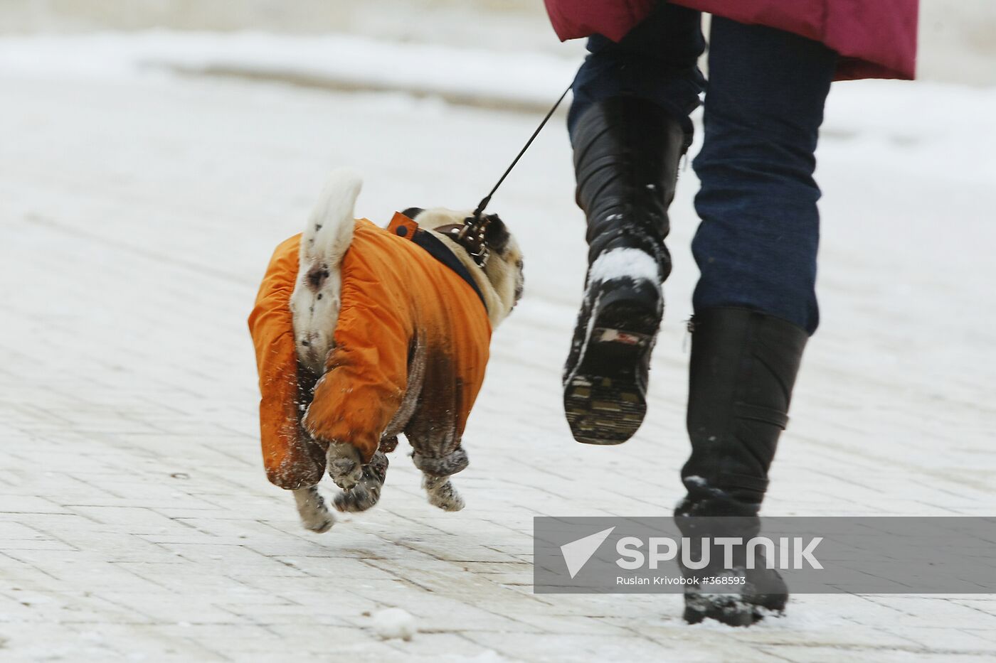 Taking dog for walk