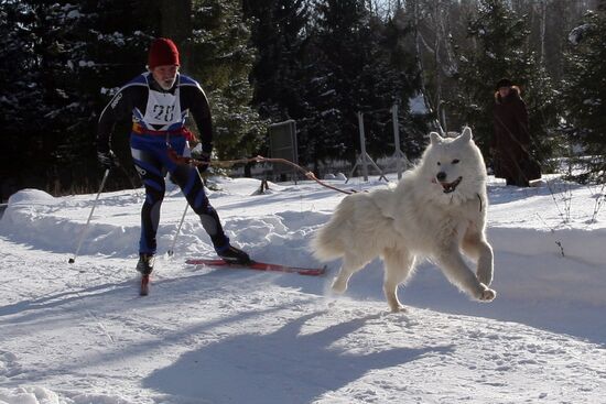 Wolfhound racing Altyn Chana 2009