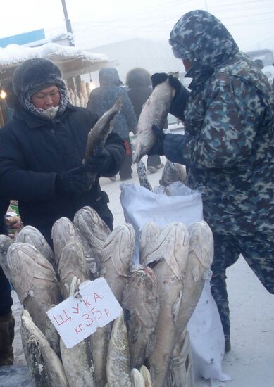 Peasant's market in Yakutsk