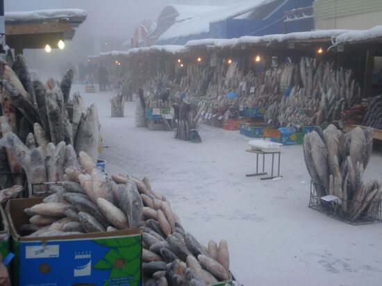 Peasant's market in Yakutsk