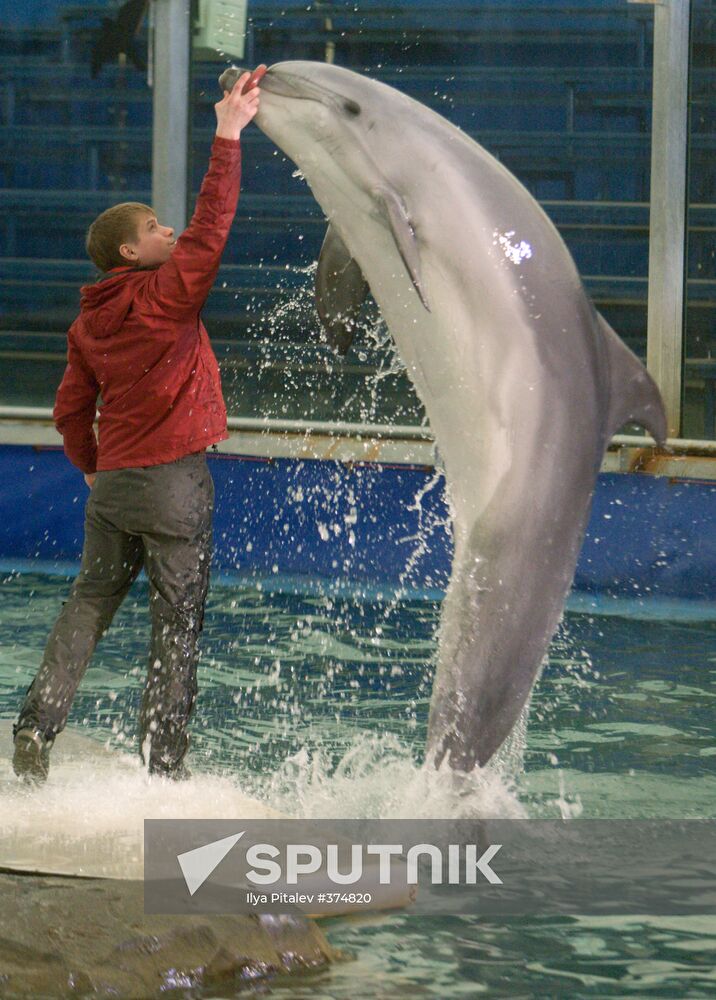 The Moscow Zoo dolphinarium