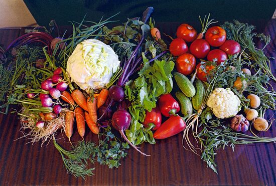 Still Life with Vegetables