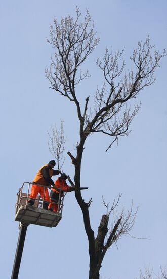 utilities services at work