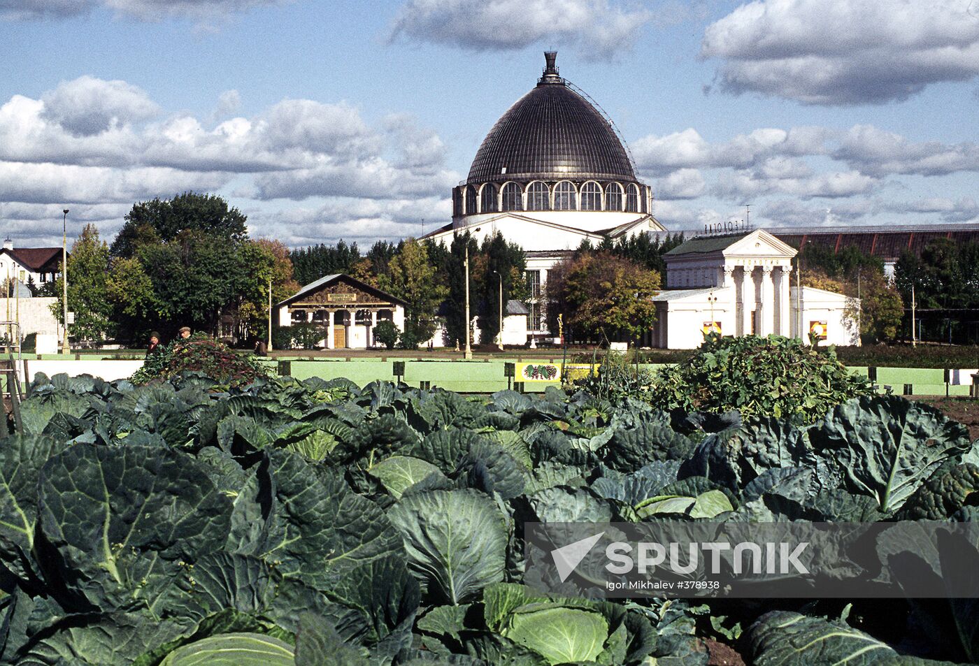 Cabbage patch in VDNKh