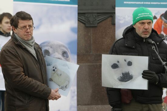 Meeting in defense of White Sea seals