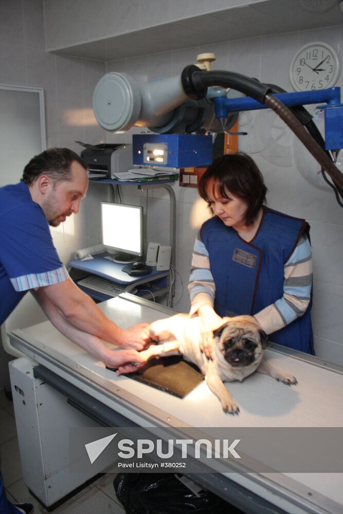 The veterinary clinic VetDoctor in Yekaterinburg