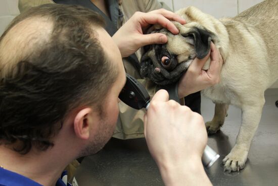 The veterinary clinic VetDoctor in Yekaterinburg