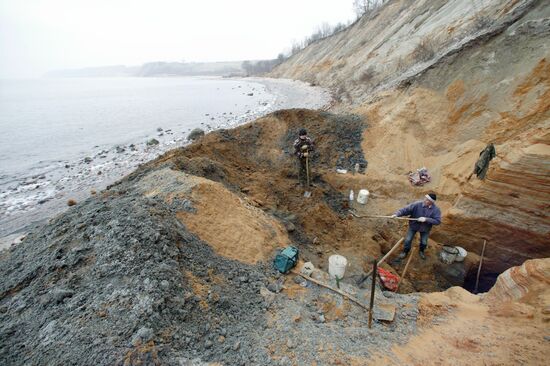 Digging for amber on the Baltic Sea coast