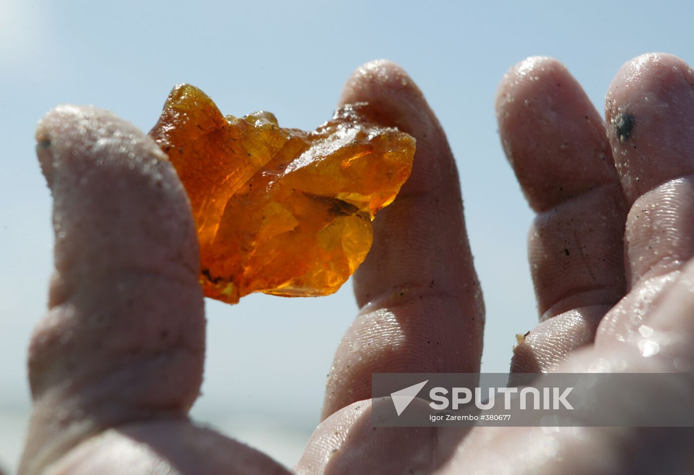 Digging for amber on the Baltic Sea coast