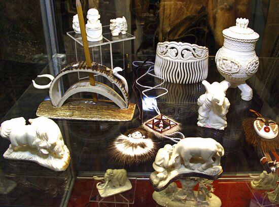 The exhibition "Achievements of the Sakha-Yakutia Republic"