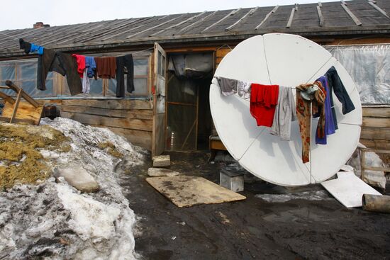 Raid on Chinese greenhouse farm in Krasnoyarsk area