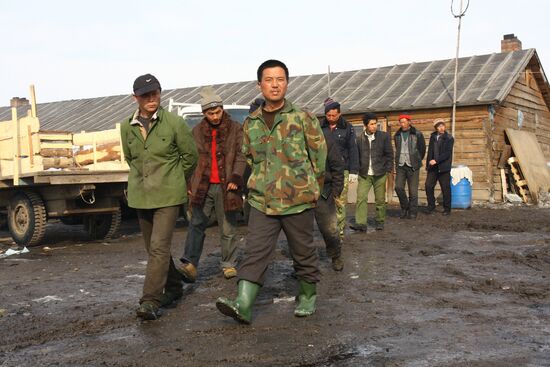 Raid on Chinese greenhouse farm in Krasnoyarsk area