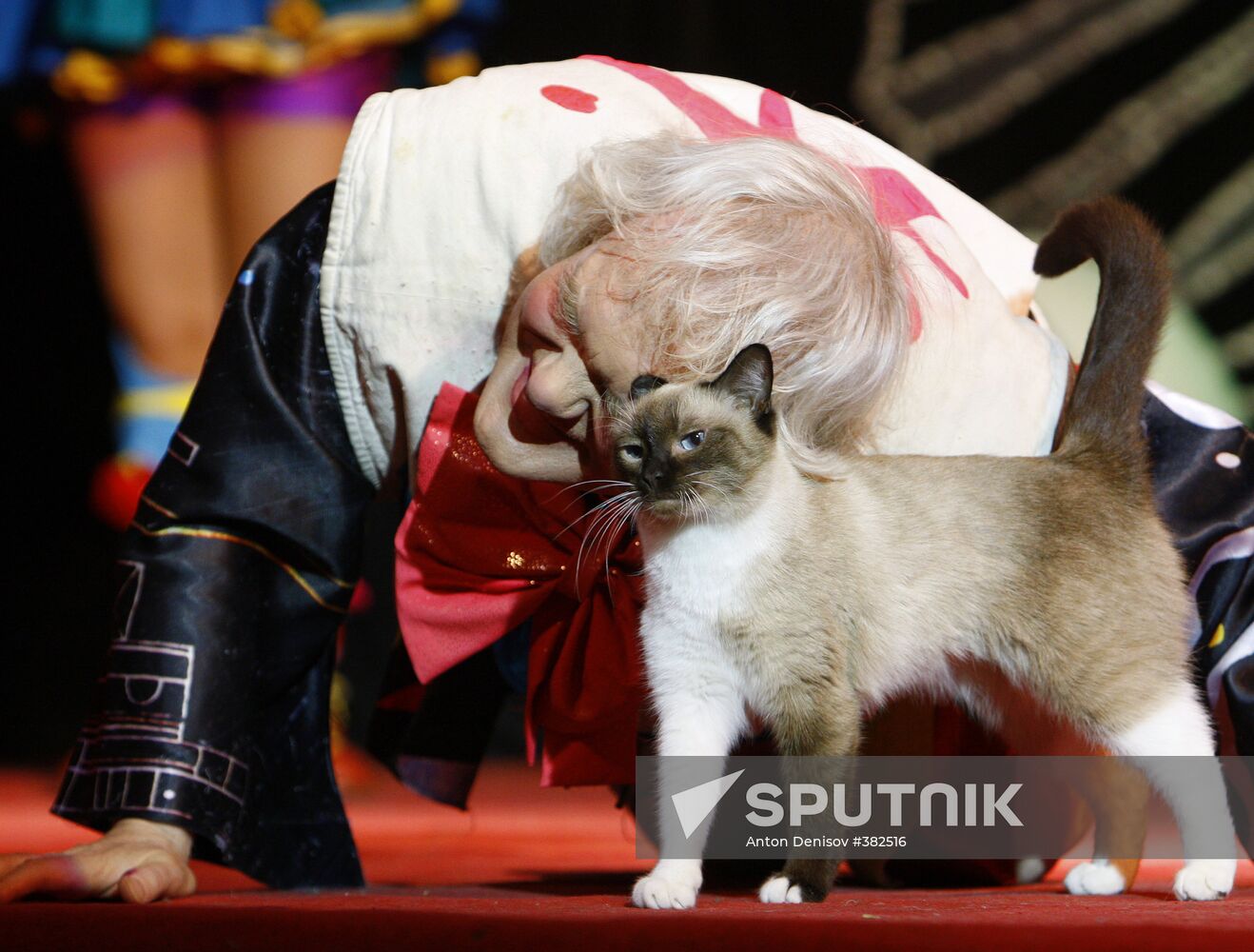 Yuri Kuklachev's performance "Queen of the Cats"