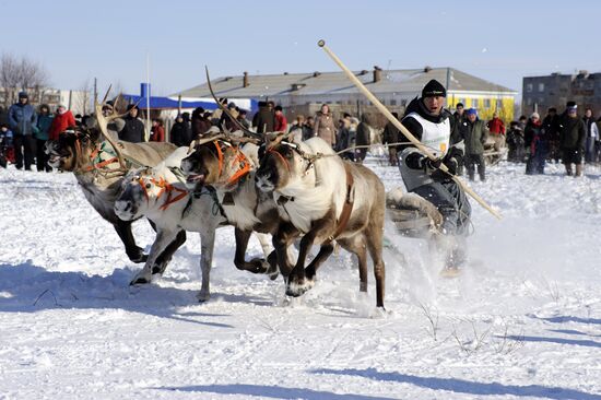 Peoples of North celebrate Reindeer Herdsman's Day