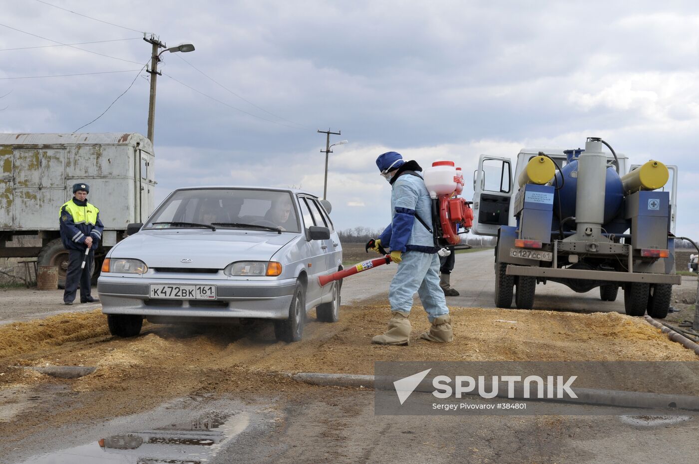 Outbreak of African plague among swine in Rostov Region