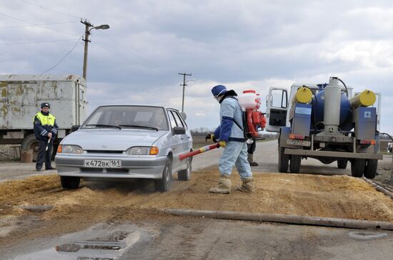 Outbreak of African plague among swine in Rostov Region