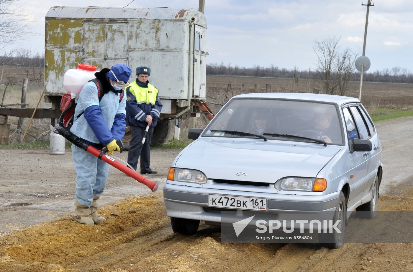 Outbreak of African plague among swine in Rostov Region