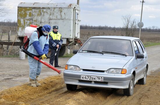 Outbreak of African plague among swine in Rostov Region