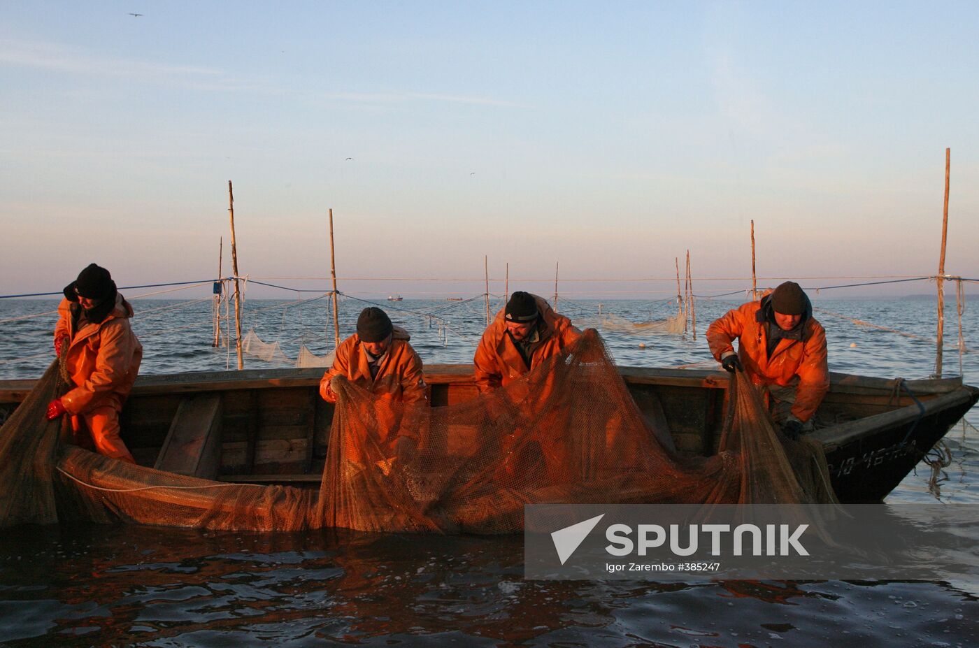 Sprat fishing in Bay of Kaliningrad