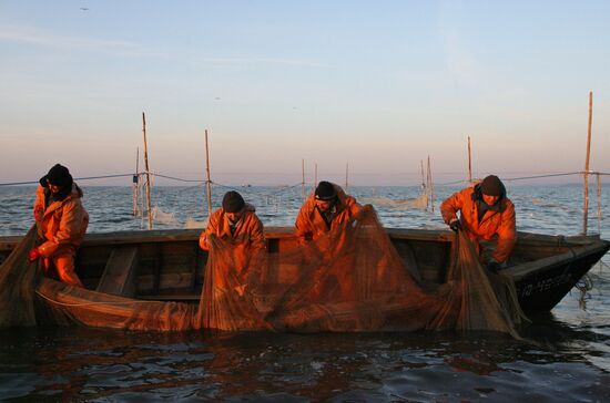 Sprat fishing in Bay of Kaliningrad