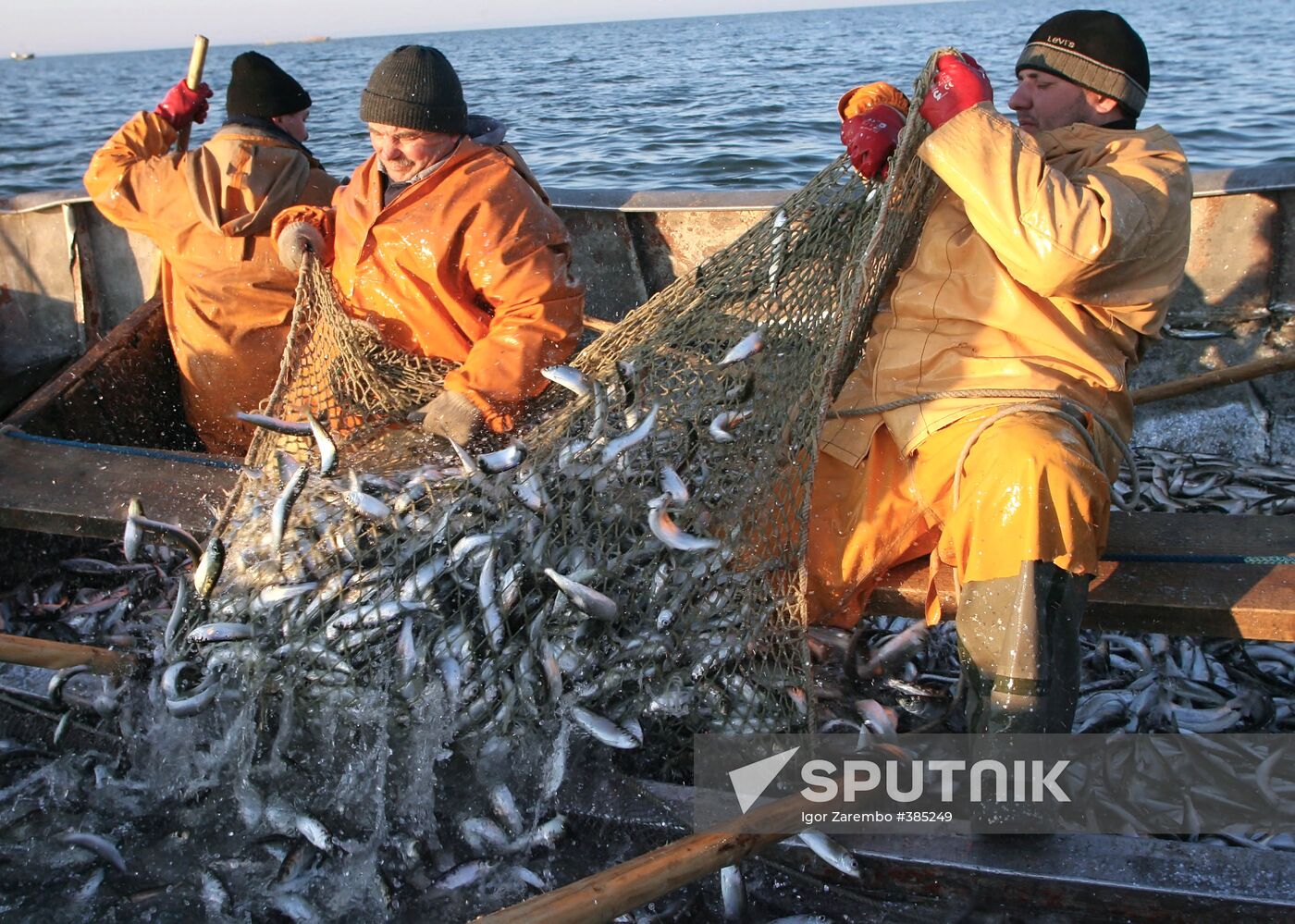 Sprat fishing in Bay of Kaliningrad