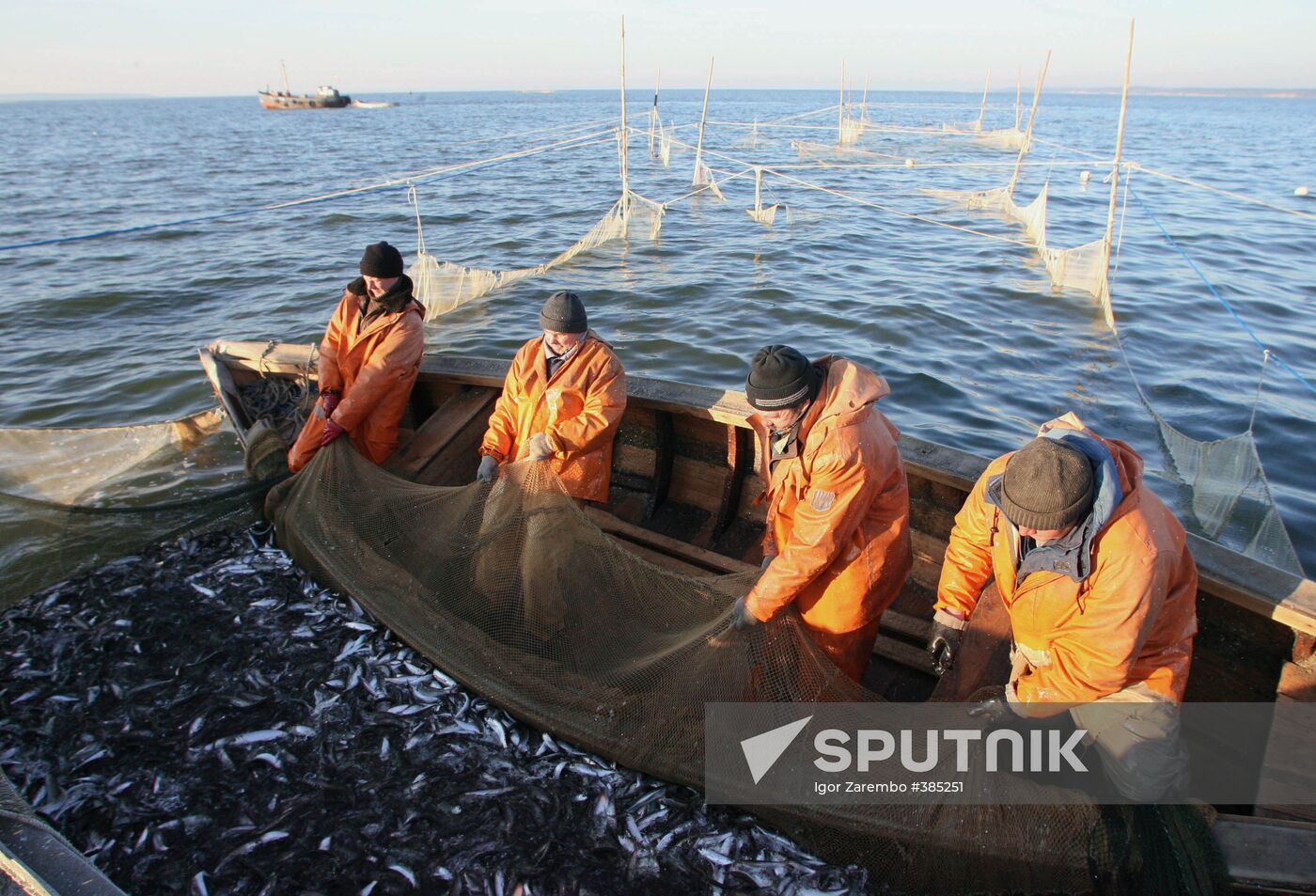 Sprat fishing in Bay of Kaliningrad