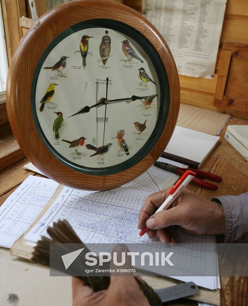 An ornithological station on Kurshskaya Spit