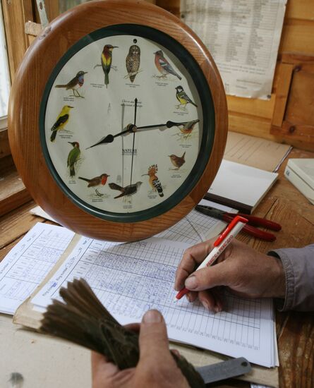 An ornithological station on Kurshskaya Spit