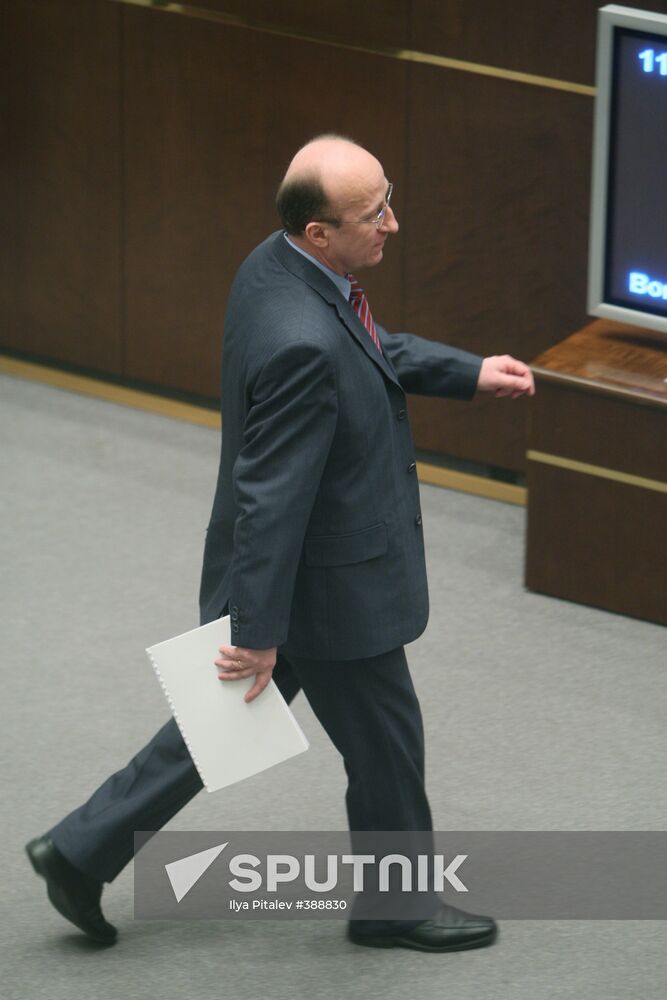 Government Hour in Russian Federation Council