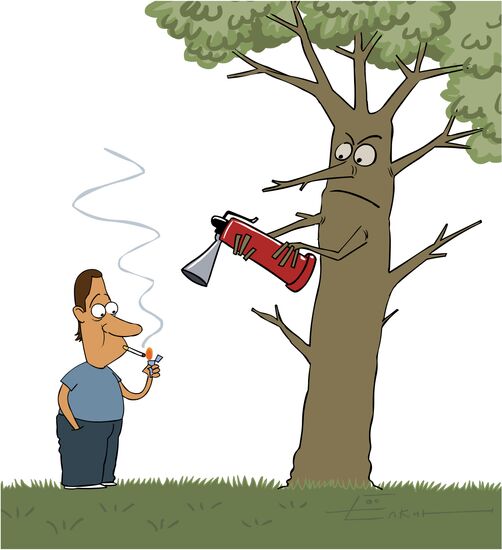Fire-resistant woods